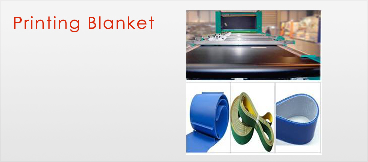 screenOtex